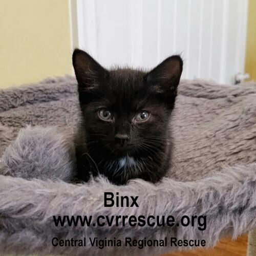 Binx